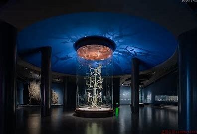 青海VR全景在教育中的互动性与学习体验提升及其在手绘地图中的应用